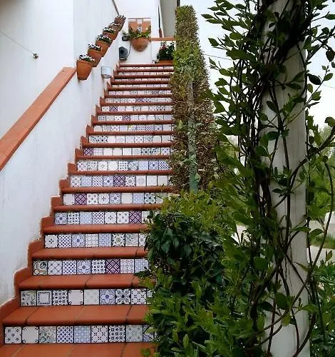 Bed and Breakfast Circeea